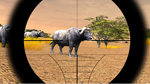 Full version of Android apk app Safari hunting 4x4 for tablet and phone.