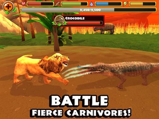 Gameplay of the Safari simulator: Lion for Android phone or tablet.