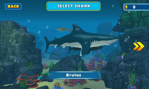 Gameplay of the Shark attack simulator 3D for Android phone or tablet.