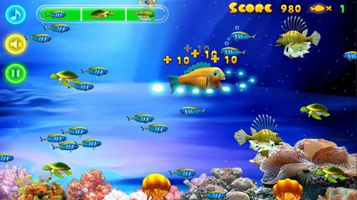 Gameplay of the Shark fever for Android phone or tablet.