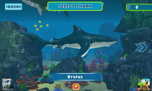 Gameplay of the Shark shark run for Android phone or tablet.