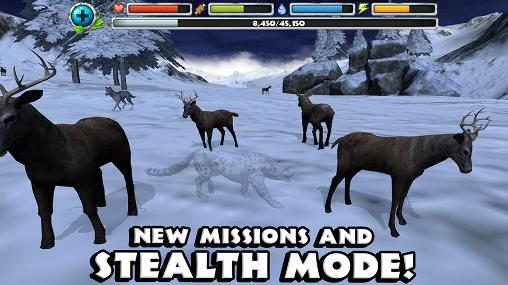 Gameplay of the Snow leopard simulator for Android phone or tablet.