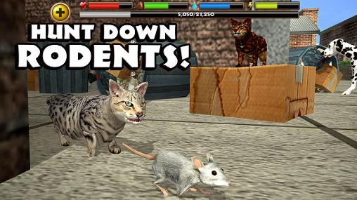 Gameplay of the Stray cat simulator for Android phone or tablet.