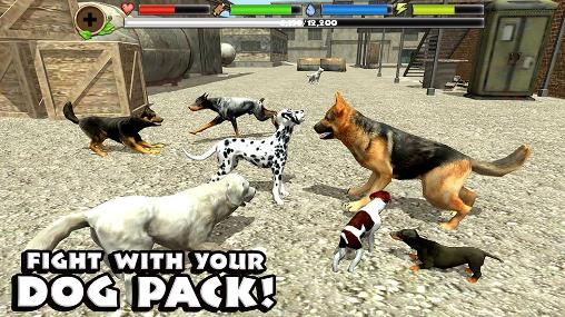 Gameplay of the Stray dog simulator for Android phone or tablet.