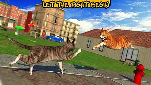 Gameplay of the Street cat sim 2016 for Android phone or tablet.