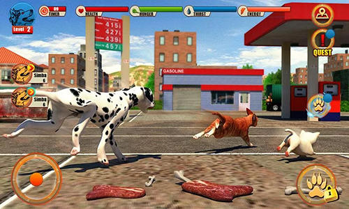 Gameplay of the Street dog simulator 3D for Android phone or tablet.
