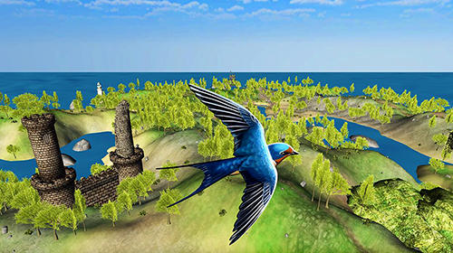 Swallow simulator: Flying bird adventure - Android game screenshots.