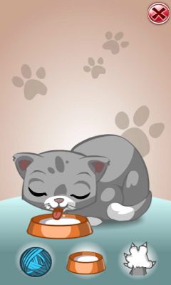Gameplay of the Talking Cat for Android phone or tablet.
