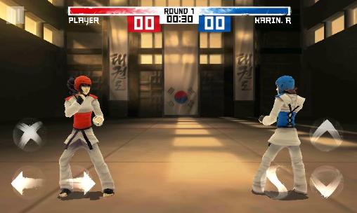 Gameplay of the The taekwondo game: Global tournament for Android phone or tablet.