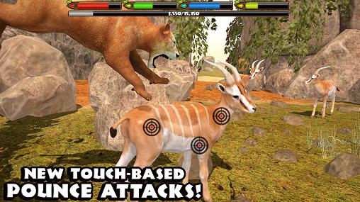 Gameplay of the Ultimate lion simulator for Android phone or tablet.