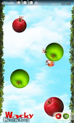 Gameplay of the Wacky Hedgehog jump for Android phone or tablet.