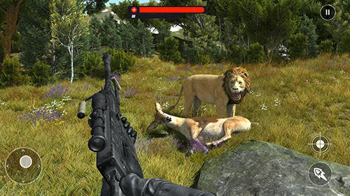 Wild animal jungle hunt: Forest sniper hunter - Android game screenshots.