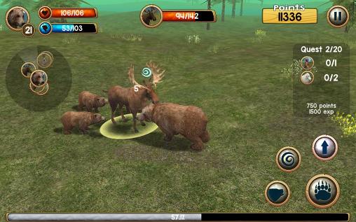 Gameplay of the Wild bear simulator 3D for Android phone or tablet.