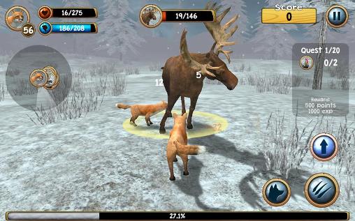 Gameplay of the Wild fox sim 3D for Android phone or tablet.
