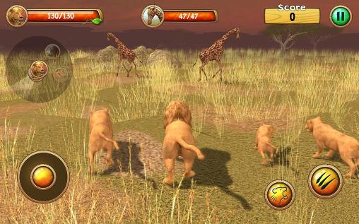 Gameplay of the Wild lion simulator 3D for Android phone or tablet.