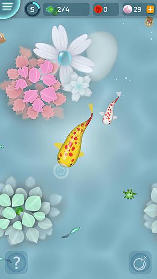 Gameplay of the Zen koi for Android phone or tablet.