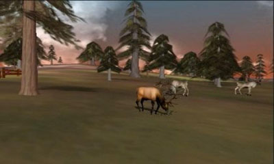 Gameplay of the 3D Hunting: Trophy Whitetail for Android phone or tablet.