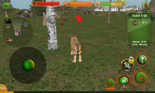 Adventures of wild tiger - Android game screenshots.