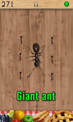 Gameplay of the Ant Smasher for Android phone or tablet.