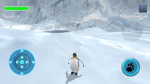 Arctic penguin - Android game screenshots.