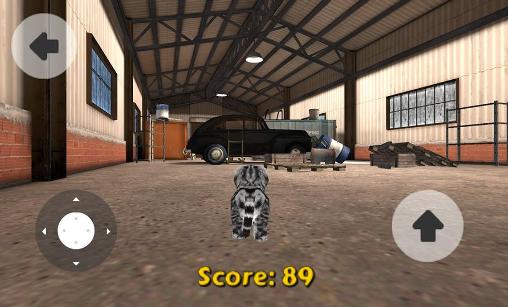 Cat simulator - Android game screenshots.