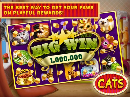 Cats slots: Casino vegas - Android game screenshots.