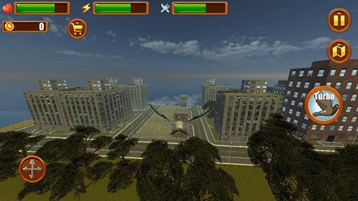 City bird: Pigeon simulator 3D - Android game screenshots.