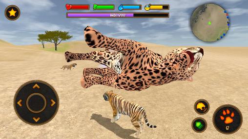 Clan of tigers - Android game screenshots.
