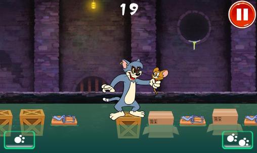 Crazy cat: Tom catches Jerry - Android game screenshots.