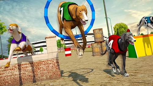 Dog race and stunts 2016 - Android game screenshots.