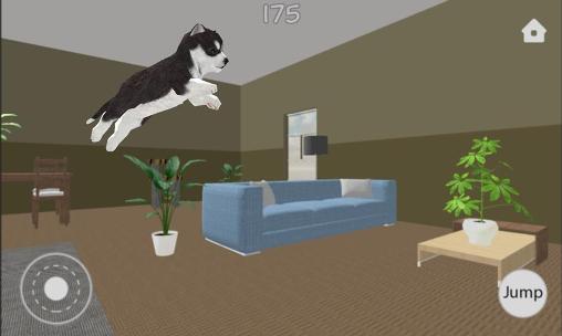 Dog simulator - Android game screenshots.