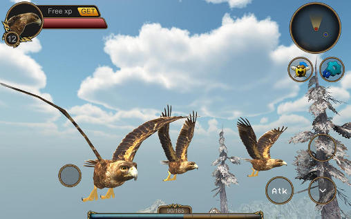 Eagle bird simulator - Android game screenshots.