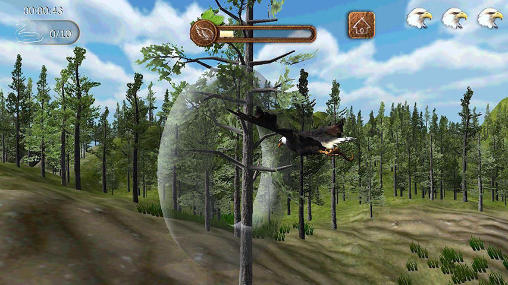 Eagle play - Android game screenshots.