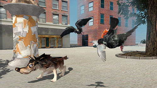 Flying bird pigeon simulator 2 - Android game screenshots.