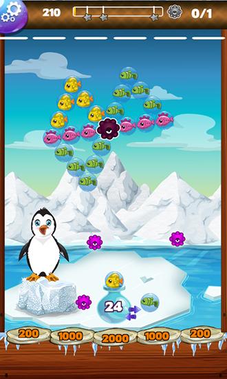 Frozen Antarctic: Penguin - Android game screenshots.
