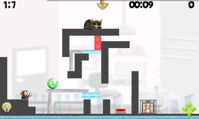 Gameplay of the Hamster Attack! for Android phone or tablet.