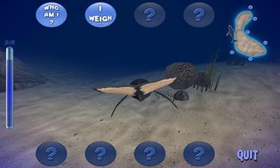 Humpback Whale - Android game screenshots.