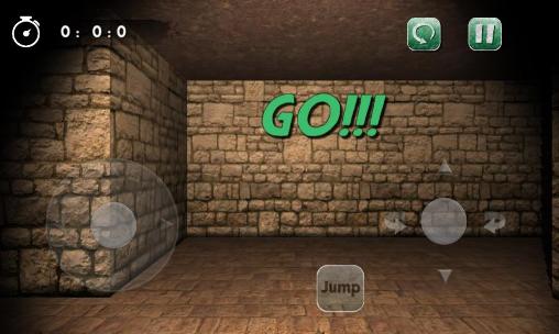 Maze mania 3D: Labyrinth escape - Android game screenshots.