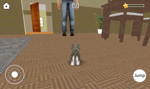 Pet simulator - Android game screenshots.
