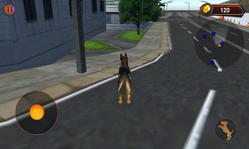 Police dog simulator 3D - Android game screenshots.