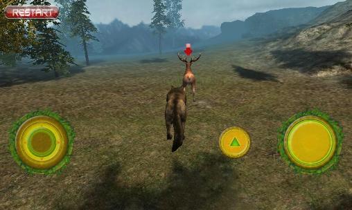 Real wolf simulator - Android game screenshots.