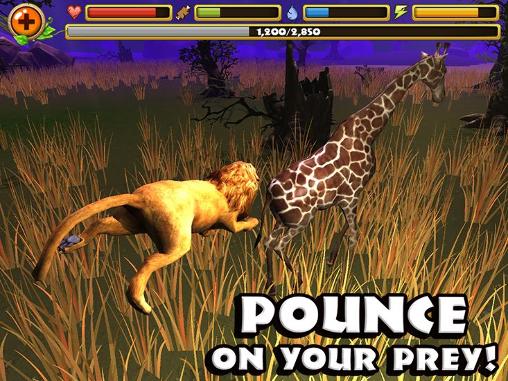 Safari simulator: Lion - Android game screenshots.