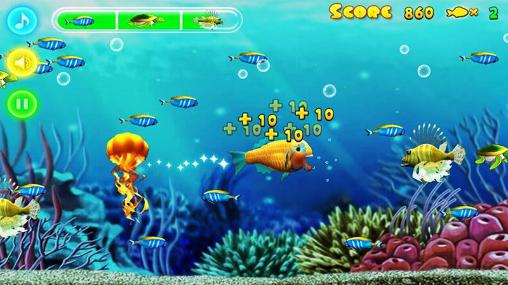Shark fever - Android game screenshots.