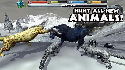 Snow leopard simulator - Android game screenshots.