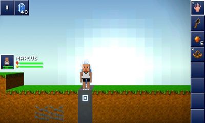 Gameplay of the The Blockheads for Android phone or tablet.