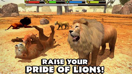 Ultimate lion simulator - Android game screenshots.