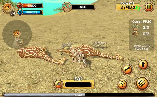 Wild cheetah sim 3D - Android game screenshots.