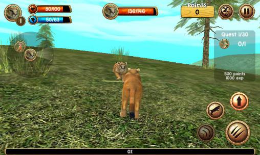 Gameplay of the Wild cougar sim 3D for Android phone or tablet.