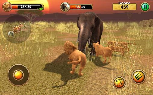 Wild lion simulator 3D - Android game screenshots.