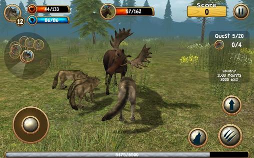 Wild wolf simulator 3D - Android game screenshots.